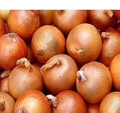 Onion setton bulbs for sale  Delivered anywhere in UK