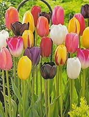 Blumenhandel ullrich 100 gebraucht kaufen  Wird an jeden Ort in Deutschland