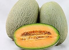 20pcs horticulture fruit for sale  Delivered anywhere in USA 