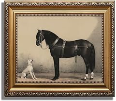 Astrdecor classic horse for sale  Delivered anywhere in USA 