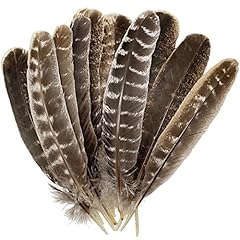 5pcs natural turkey for sale  Delivered anywhere in USA 