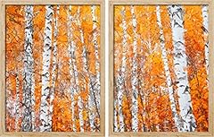 Signwin framed orange for sale  Delivered anywhere in USA 