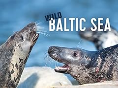 Wild baltic sea for sale  Delivered anywhere in USA 