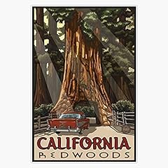 Print redwood national for sale  Delivered anywhere in USA 