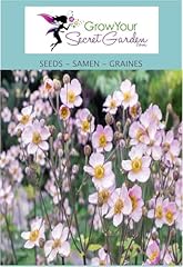 Herbst anemonen samen gebraucht kaufen  Wird an jeden Ort in Deutschland