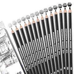 Skaaisont 14pcs crayons d'occasion  Livré partout en France