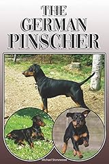German pinscher complete for sale  Delivered anywhere in UK