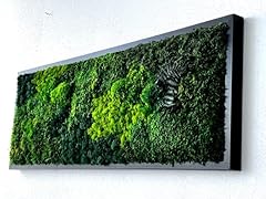 Unique moss art for sale  Delivered anywhere in USA 