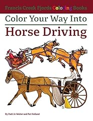Color way horse for sale  Delivered anywhere in USA 