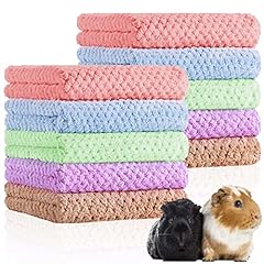 Pcs guinea pigs for sale  Delivered anywhere in USA 
