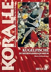 Kugelfische meerwasseraquarium d'occasion  Livré partout en France