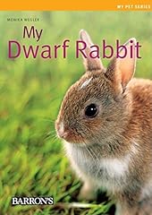 Dwarf rabbit d'occasion  Livré partout en Belgiqu
