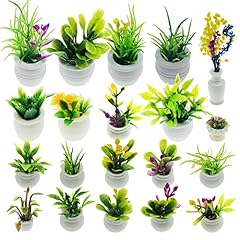 Cayway dollhouse plant for sale  Delivered anywhere in USA 