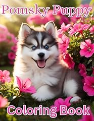 Pomsky puppy unique d'occasion  Livré partout en France