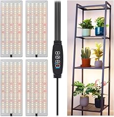 Lbw plant grow for sale  Delivered anywhere in USA 
