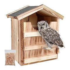 Owl house owl for sale  Delivered anywhere in USA 