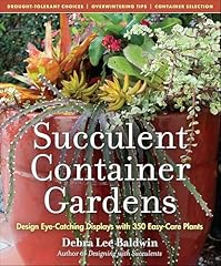 Succulent container gardens for sale  Delivered anywhere in USA 