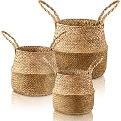 Patelai set seagrass for sale  Delivered anywhere in USA 