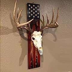 European trophy mount for sale  Delivered anywhere in USA 