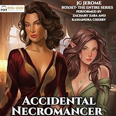 Accidental necromancer boxed for sale  Delivered anywhere in USA 