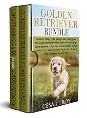 Golden retriever bundle for sale  Delivered anywhere in USA 