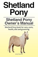Shetland pony. shetland d'occasion  Livré partout en Belgiqu