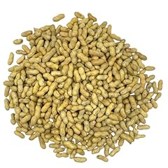 Sneaky mango premium for sale  Delivered anywhere in USA 