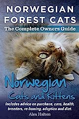 Norwegian forest cats for sale  Delivered anywhere in UK