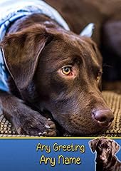Personalised chocolate labrado for sale  Delivered anywhere in UK