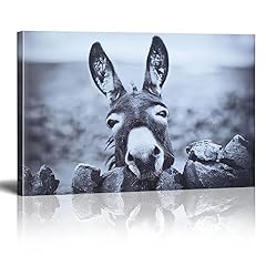 Hsffbhfbh canvas wall for sale  Delivered anywhere in USA 