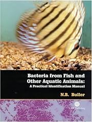 Bacteria fish aquatic for sale  Delivered anywhere in USA 