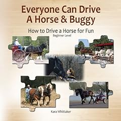 Everyone drive horse for sale  Delivered anywhere in USA 