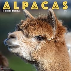 Alpacas 2025 wall for sale  Delivered anywhere in UK