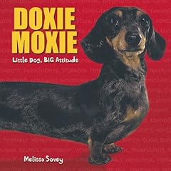 Doxie moxie little for sale  Delivered anywhere in USA 