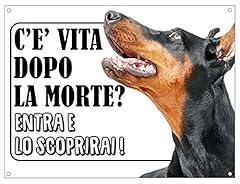 Cartello attenti cane usato  Spedito ovunque in Italia 