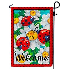 Welcome summer garden for sale  Delivered anywhere in USA 