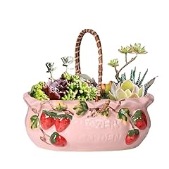 Basket succulent planter for sale  Delivered anywhere in USA 