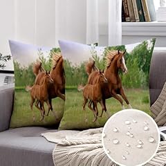 Set throw pillows for sale  Delivered anywhere in USA 