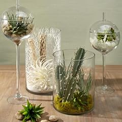 Gallerie jules glass for sale  Delivered anywhere in USA 