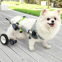 Letpetrun adjustable dog for sale  Delivered anywhere in USA 