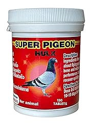 Hulx super pigeon for sale  Delivered anywhere in USA 