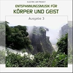 Entspannungsmusik körper geis gebraucht kaufen  Wird an jeden Ort in Deutschland