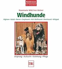Windhunde afghane saluki gebraucht kaufen  Wird an jeden Ort in Deutschland