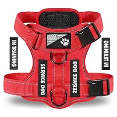 Demigreat service dog for sale  Delivered anywhere in USA 