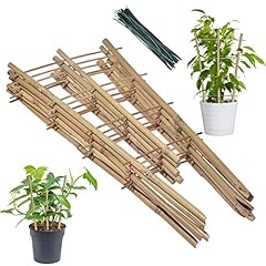 Piantare traliccio bambù usato  Spedito ovunque in Italia 