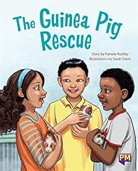 Guinea pig rescue for sale Guinea pig rescue for sale  Delivered anywhere in USA