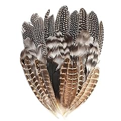 30pcs turkey feathers for sale  Delivered anywhere in UK