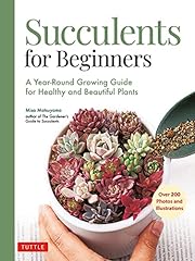 Succulents beginners year for sale  Delivered anywhere in USA 