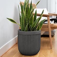 Ilyapa inch large for sale  Delivered anywhere in USA 