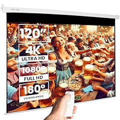 Projektionsleinwand mattweiße gebraucht kaufen  Wird an jeden Ort in Deutschland